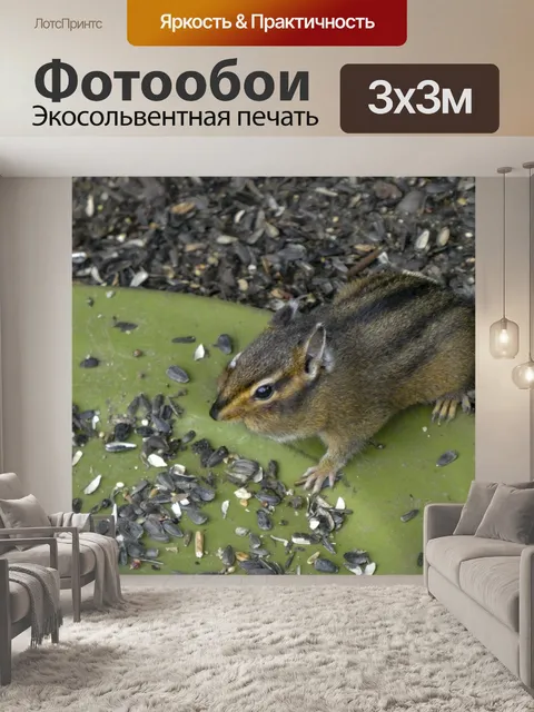 Фотообои Бурундук