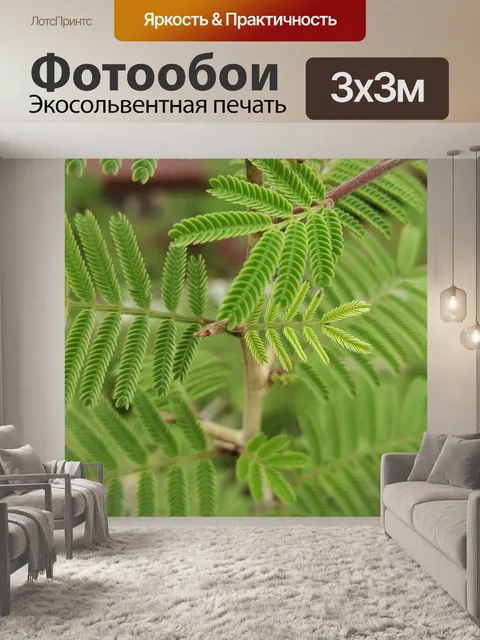 Фотообои Природа