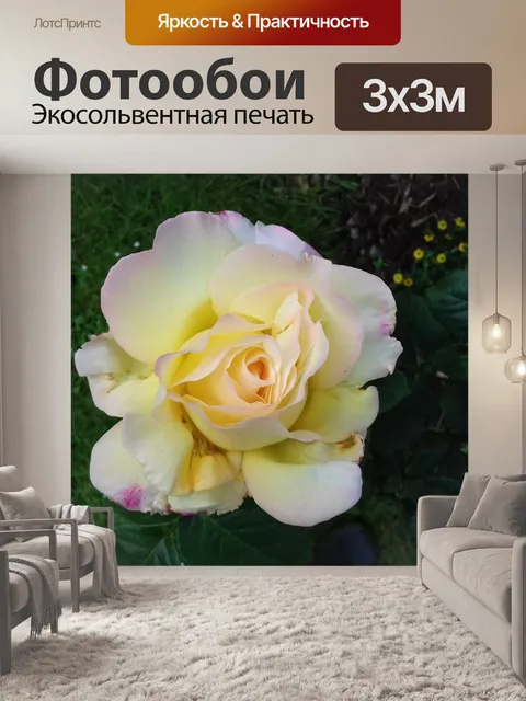 Фотообои Душистый