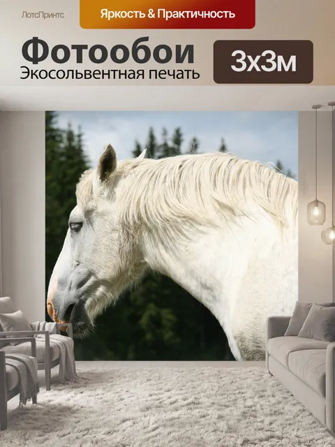 Фотообои Белая лошадь