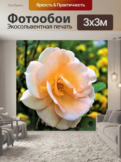 Фотообои Осень