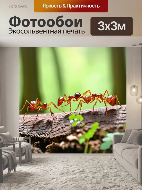 Фотообои охота: среди лесов, где весенние муравьи трудятся, создавая свою жизнь