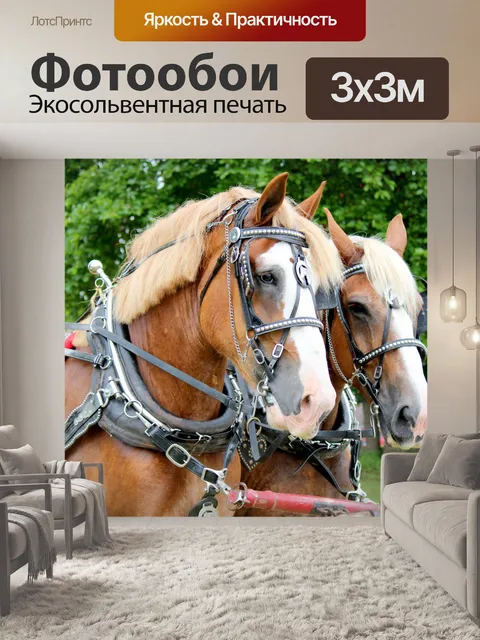 Фотообои Лошади тянут телегу
