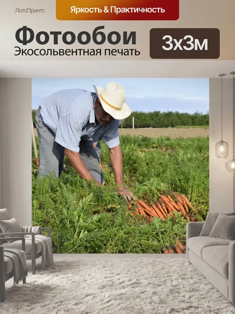 Фотообои Морковь