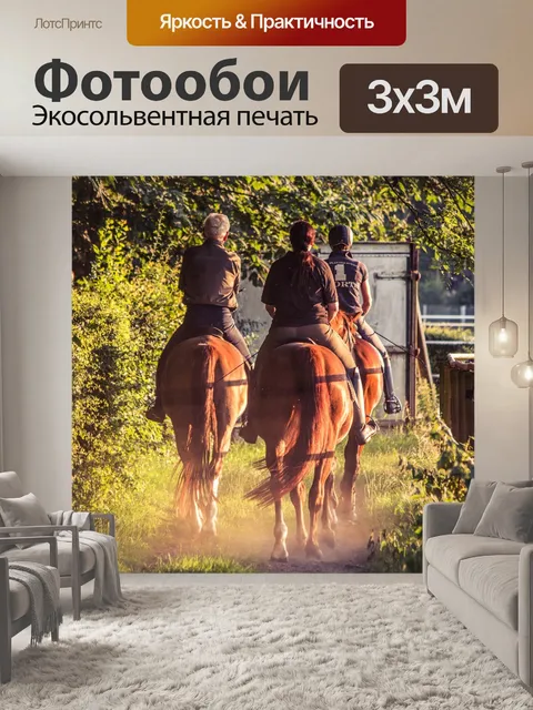 Фотообои Конный спорт