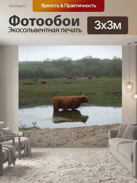Фотообои Корова