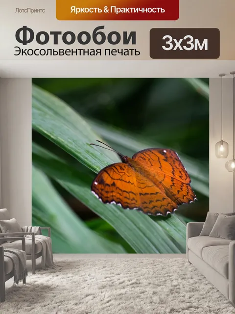 Фотообои Угловой ролик
