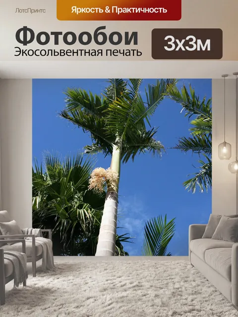Фотообои Пальмовый лес