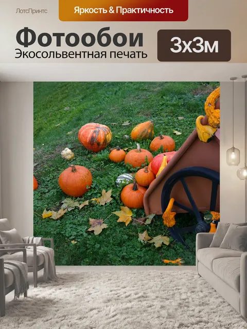 Фотообои Тачка