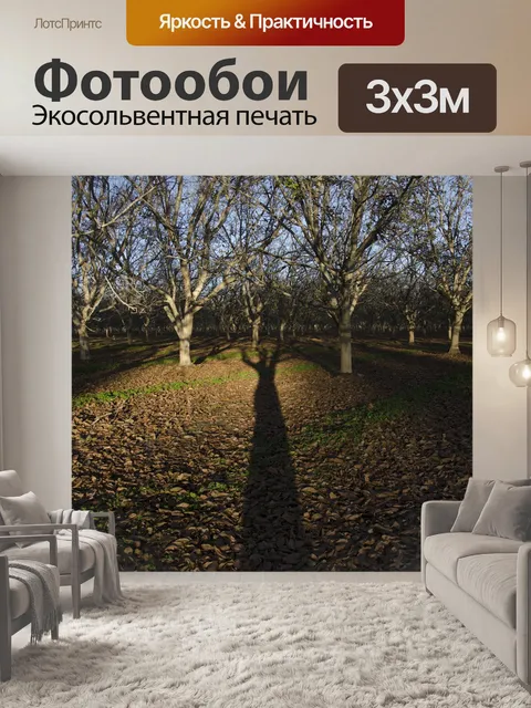 Фотообои Деревья
