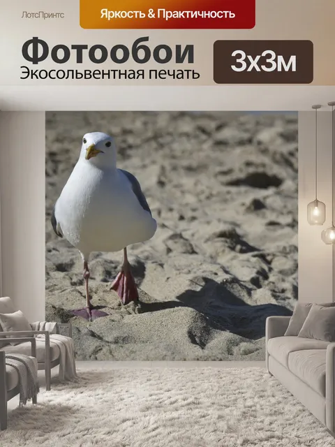 Фотообои Ходячая чайка