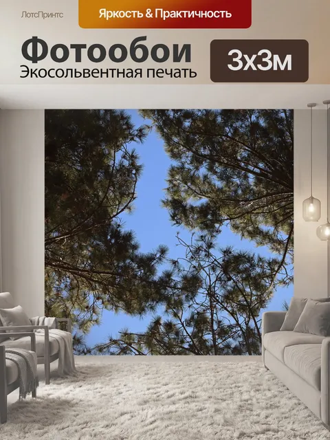 Фотообои вид сверху на ветки сосны