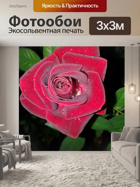 Фотообои Алая роза