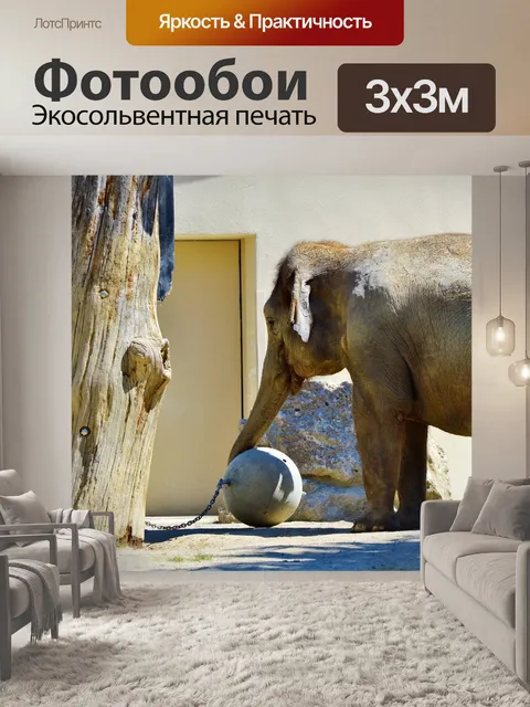 Фотообои Слон