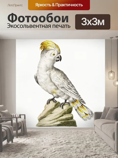 Фотообои Попугай какаду птица винтаж