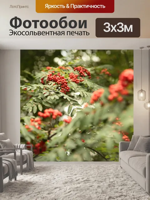 Фотообои Гроздья рябины