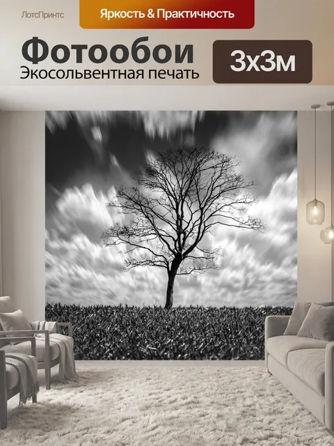 Фотообои Дерево и небо