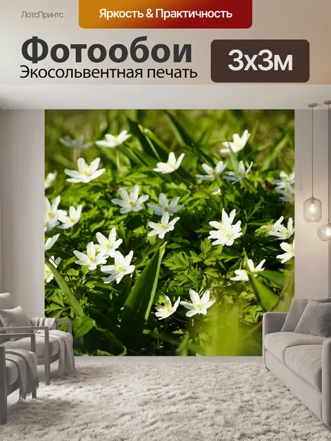 Фотообои Анемон