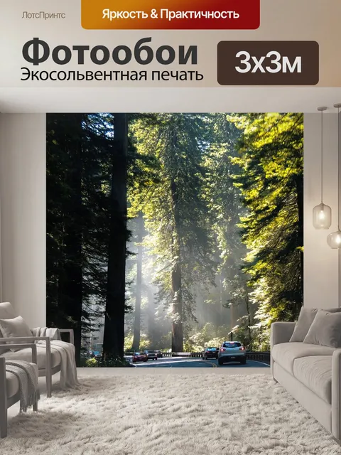 Фотообои Калифорния