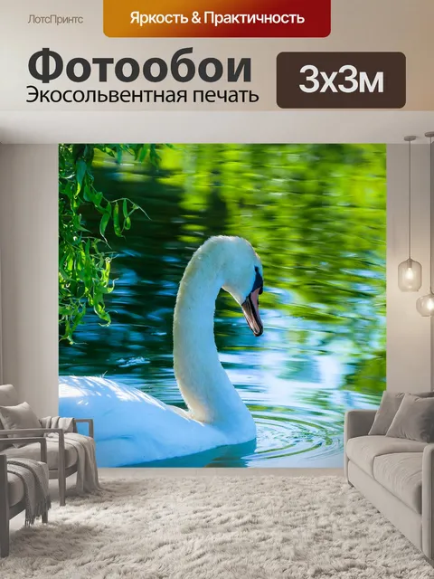 Фотообои Лебедь