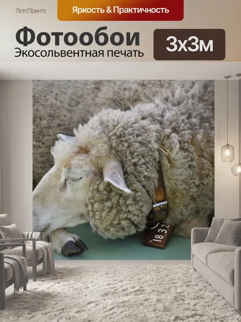 Фотообои Овец