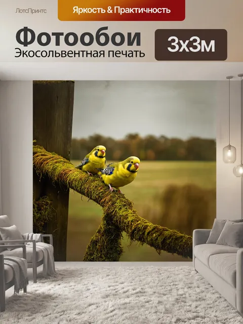 Фотообои маленькие волнистые попугаи