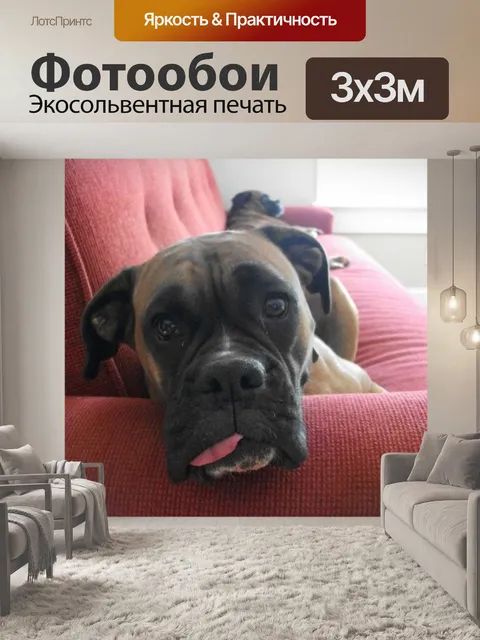 Фотообои Боксеры
