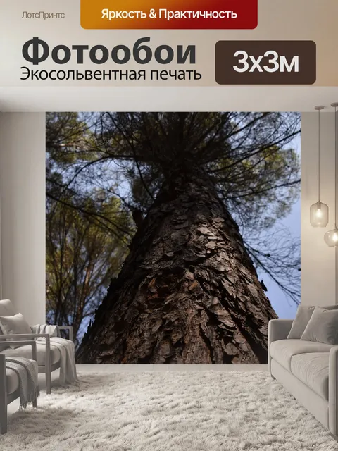 Фотообои Высокое дерево из нижнего
