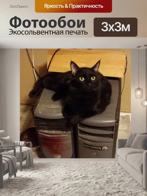 Фотообои Admin Server