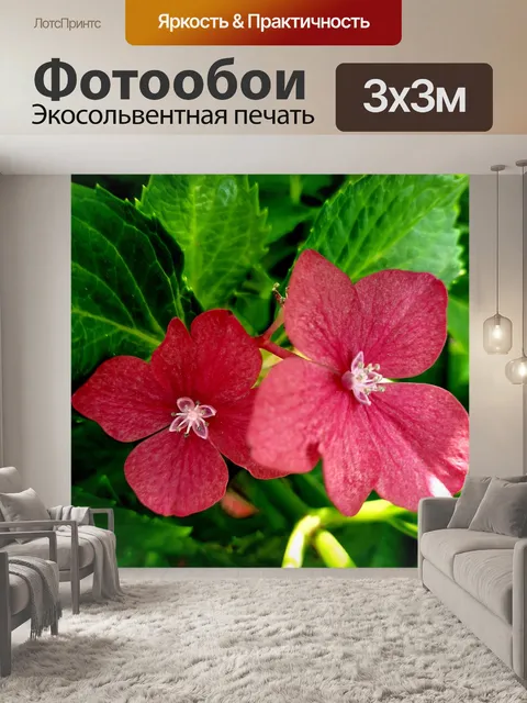 Фотообои Цветок