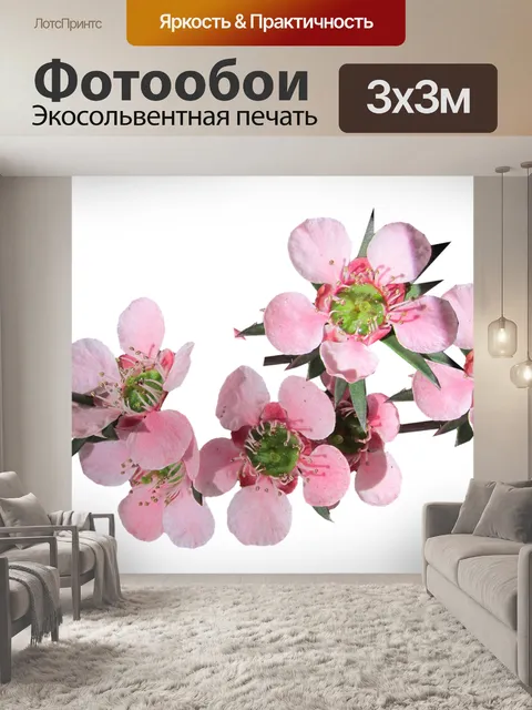 Фотообои Цветок