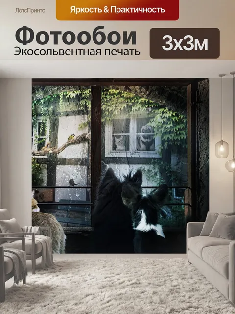 Фотообои Окно