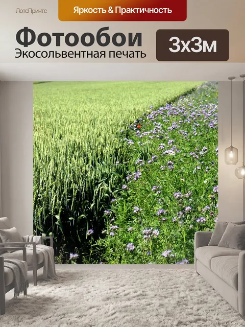 Фотообои Пейзаж