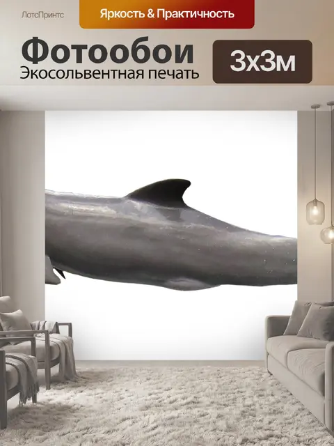 Фотообои Дельфин