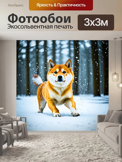 Фотообои сиба-ину, играющая в снежной метели, в моменты, когда снежинки весело кружатся вокруг нее