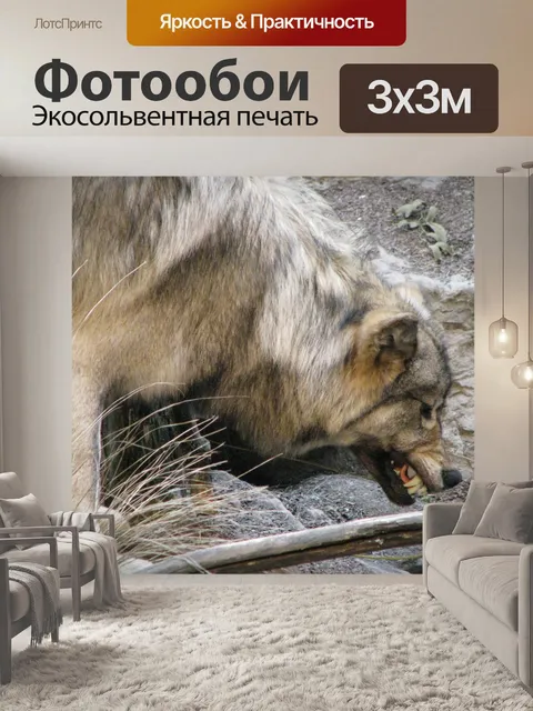 Фотообои Рычащий волк