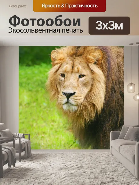 Фотообои Лев