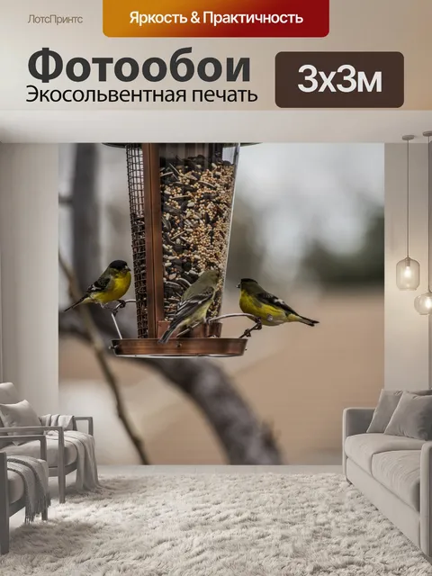Фотообои Трио щеглов