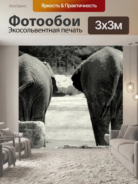 Фотообои Слоны