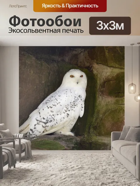 Фотообои Снежная сова