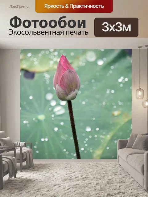 Фотообои Красный бутон цветка лотоса и листьев