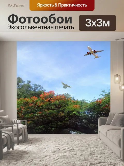 Фотообои Самолет