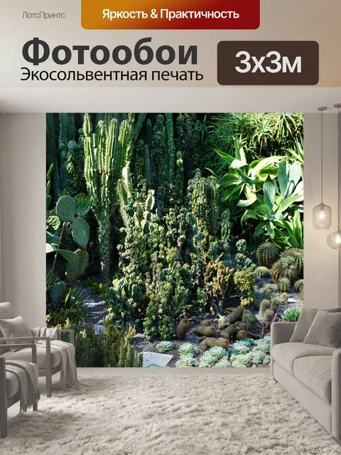 Фотообои Суккуленты