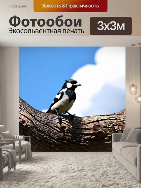 Фотообои сорока, сидящая на стволе дерева в солнечный день, с облаками на фоне