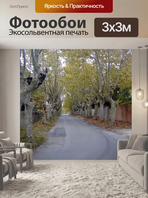 Фотообои Улица