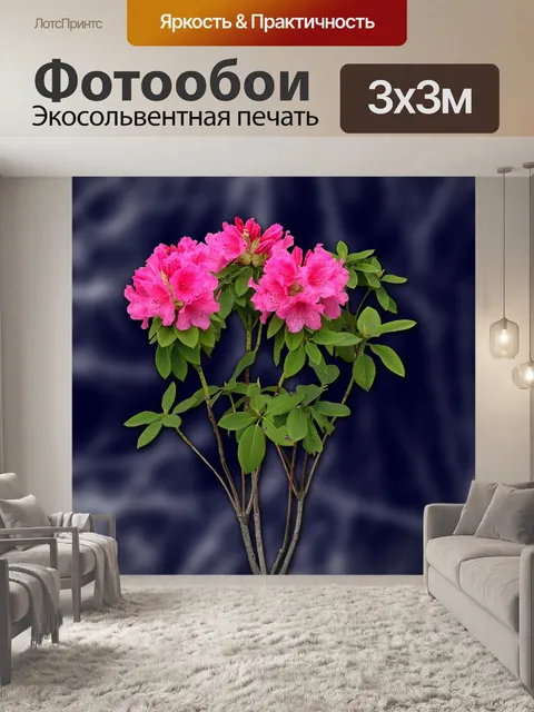 Фотообои Цветы