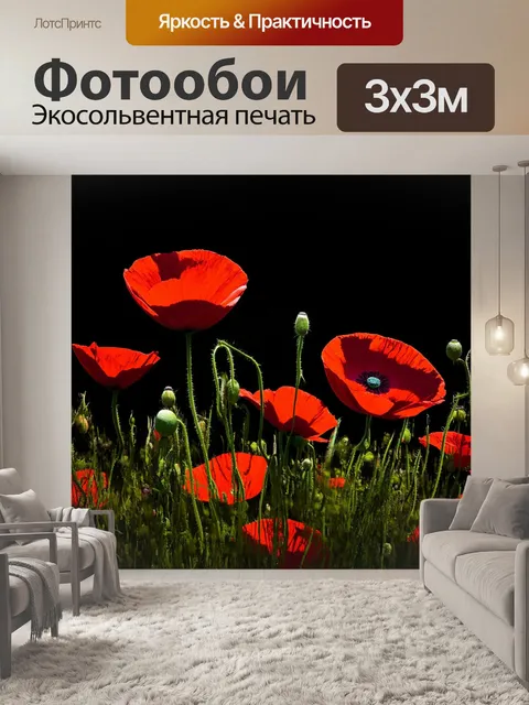 Фотообои расцветающие красные маки на фоне черного неба, создающие мощный визуальный контраст