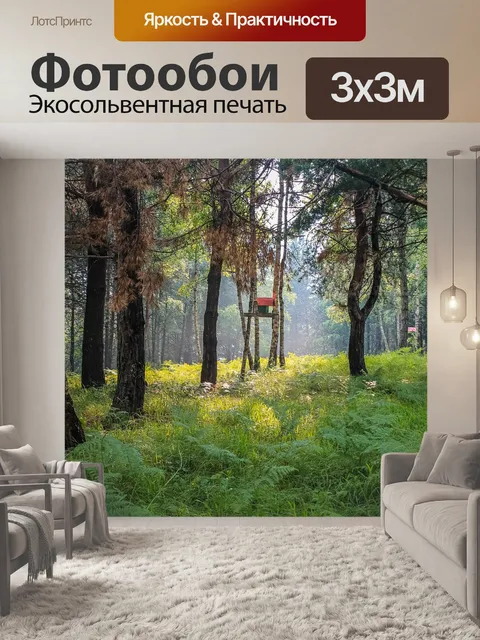 Фотообои Туманный