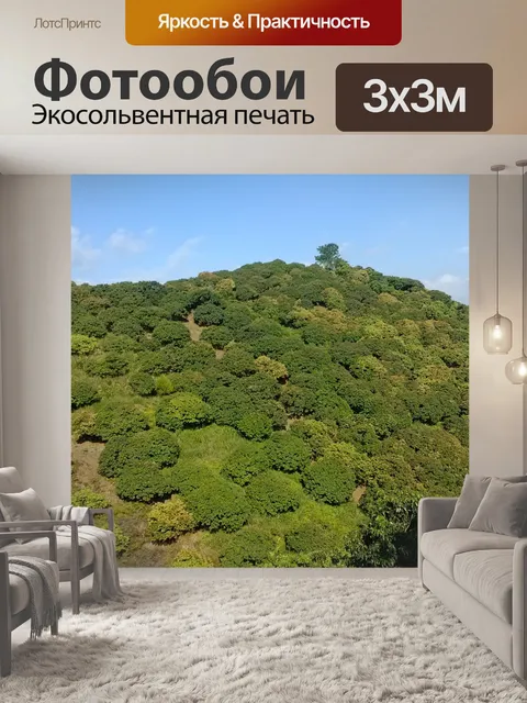 Фотообои Холмы