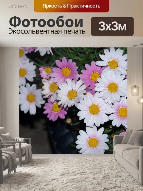 Фотообои Розовая маргаритка